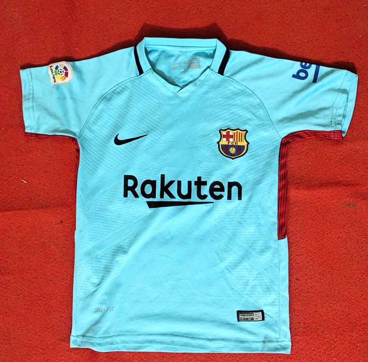 A descriptive alt text for this image