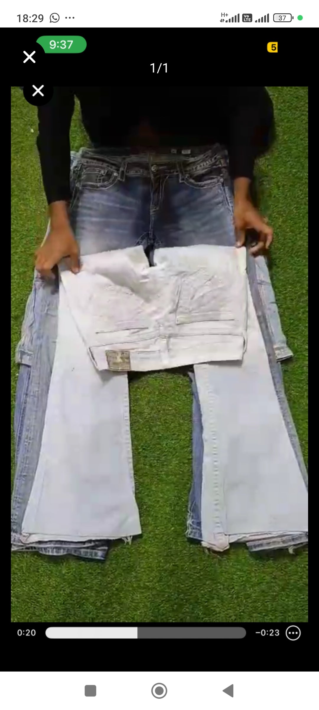 A descriptive alt text for this image