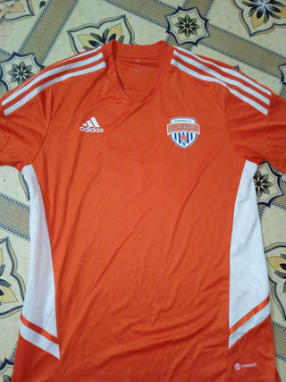 A descriptive alt text for this image