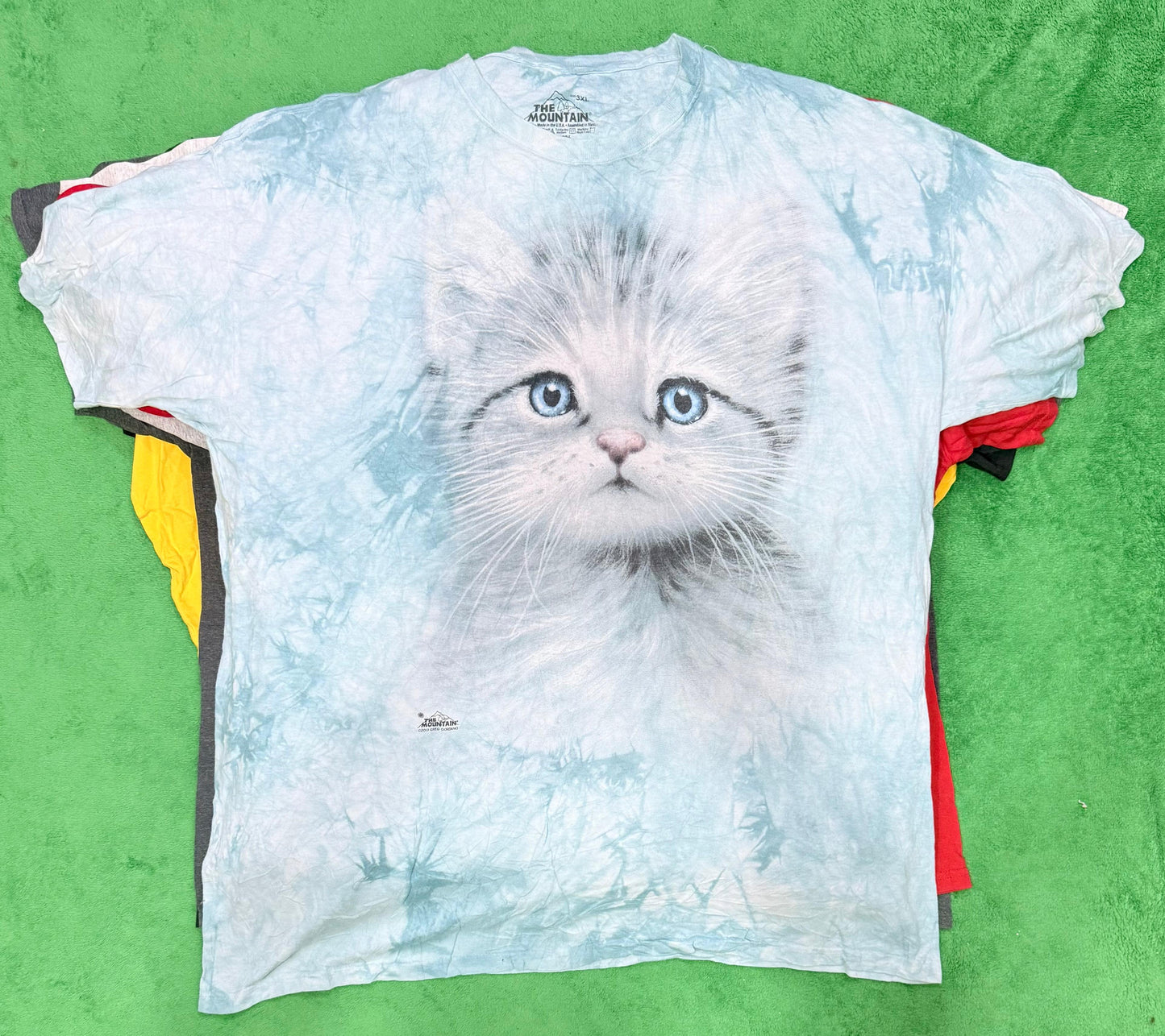 A descriptive alt text for this image