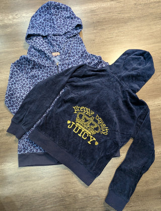 A descriptive alt text for this image