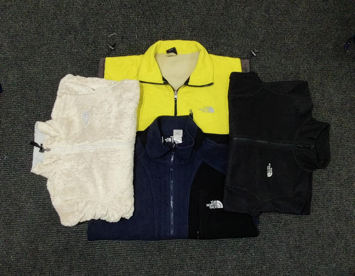 A descriptive alt text for this image