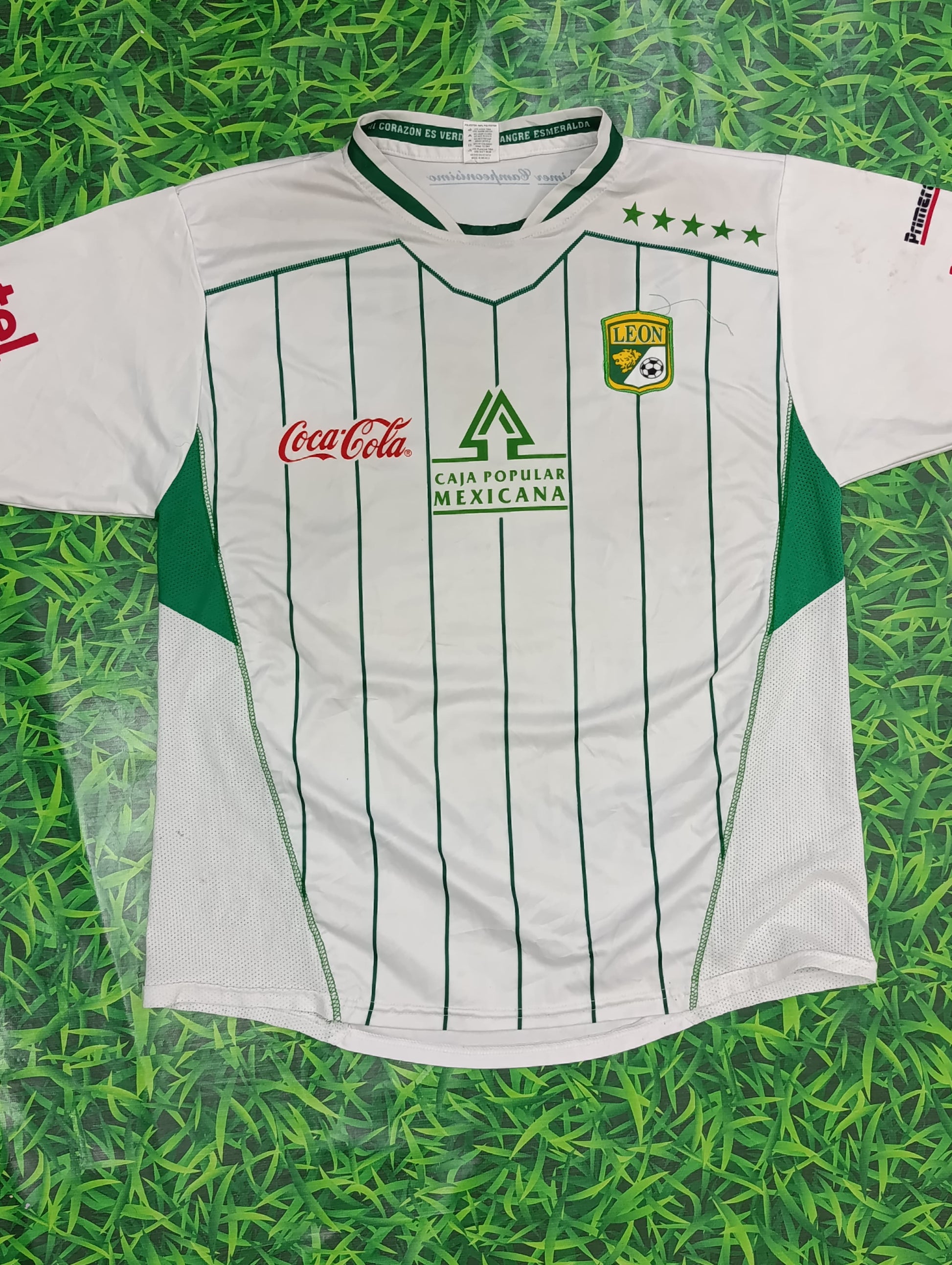 A descriptive alt text for this image