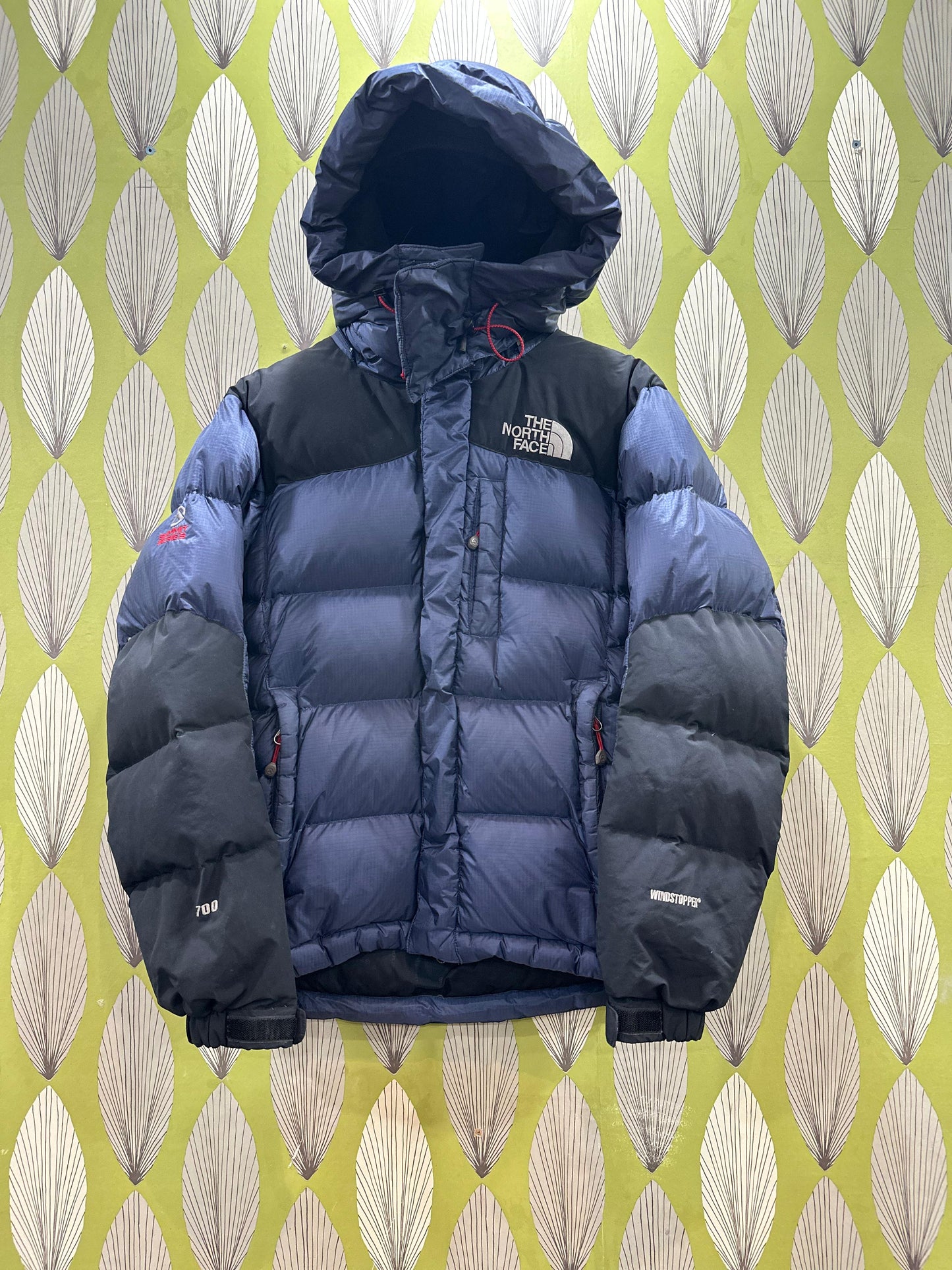 A descriptive alt text for this image