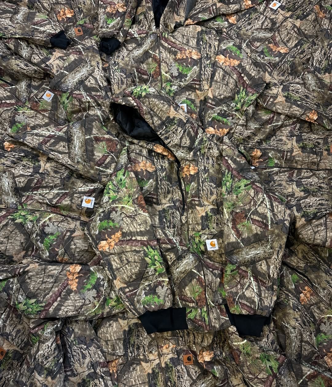 A descriptive alt text for this image