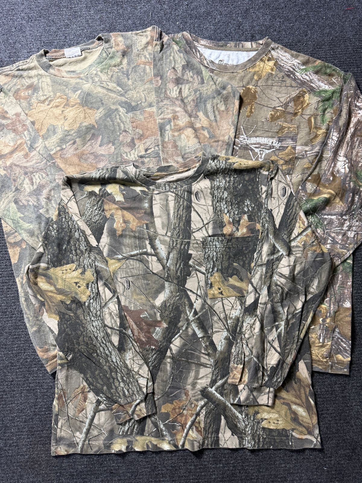 A descriptive alt text for this image