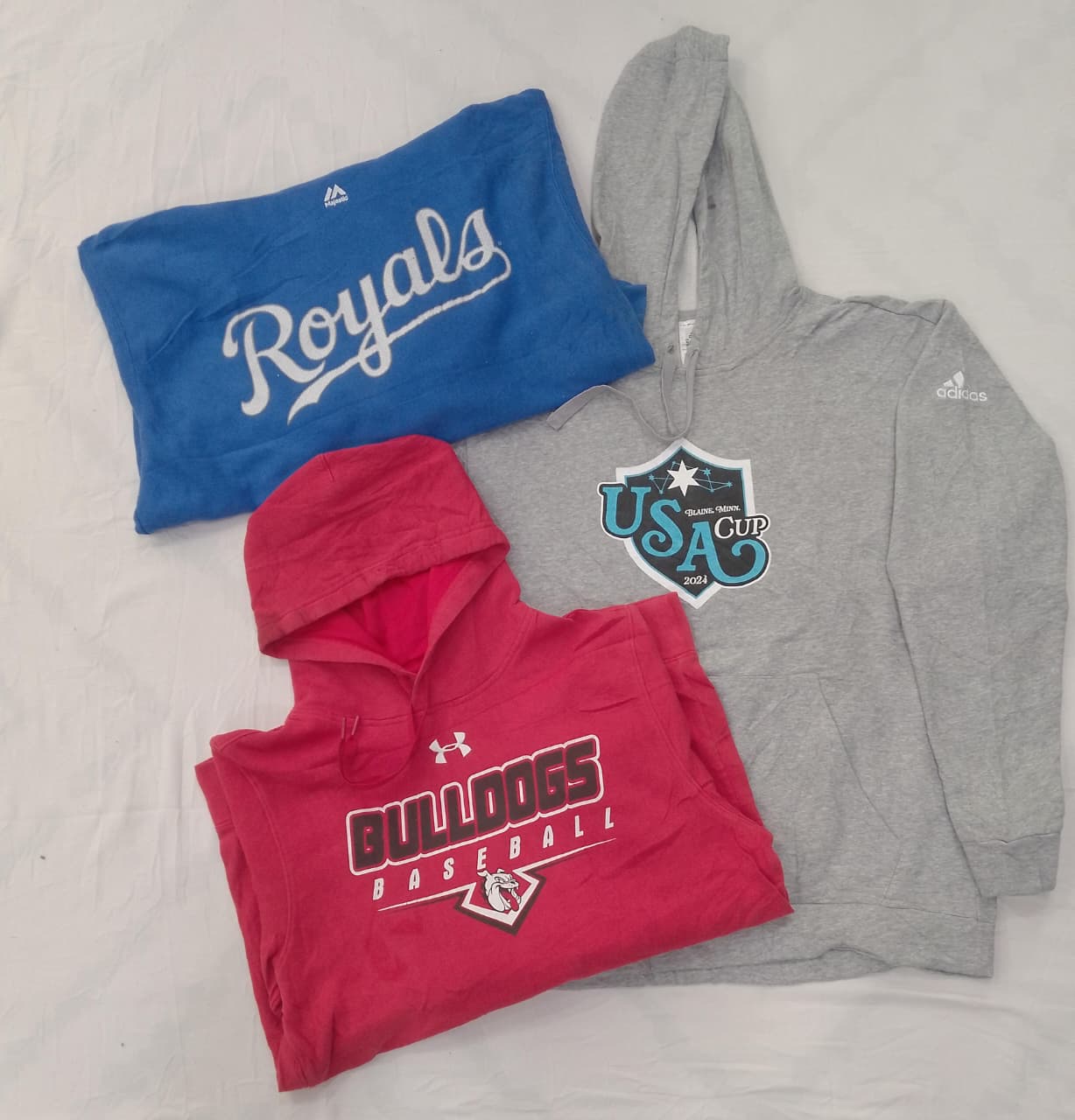 A descriptive alt text for this image