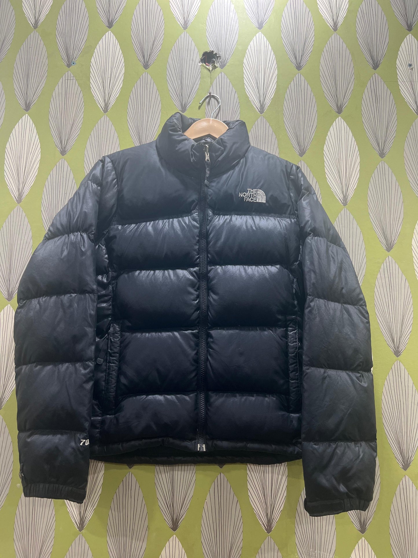 A descriptive alt text for this image