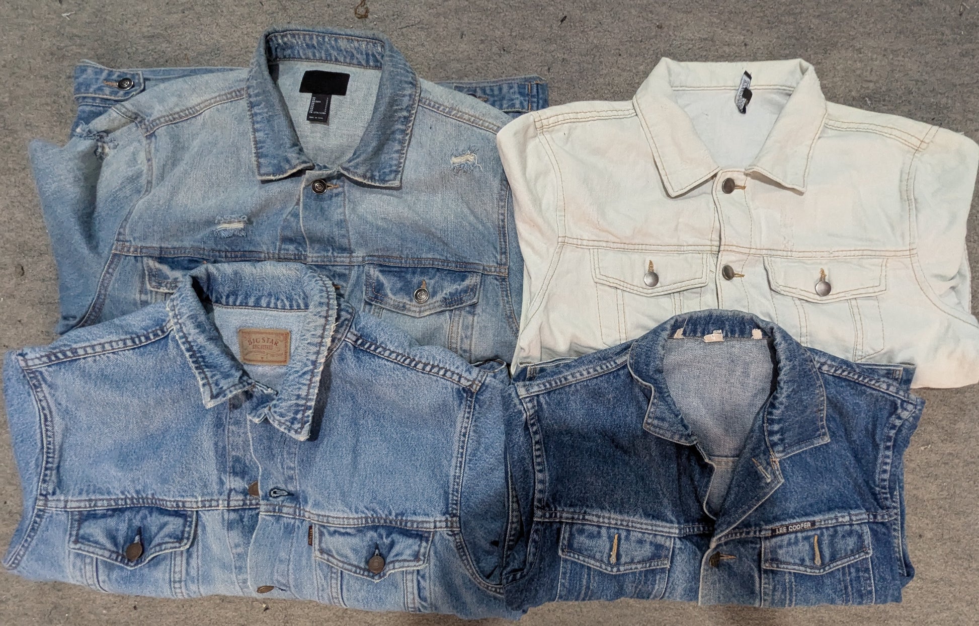 A descriptive alt text for this image