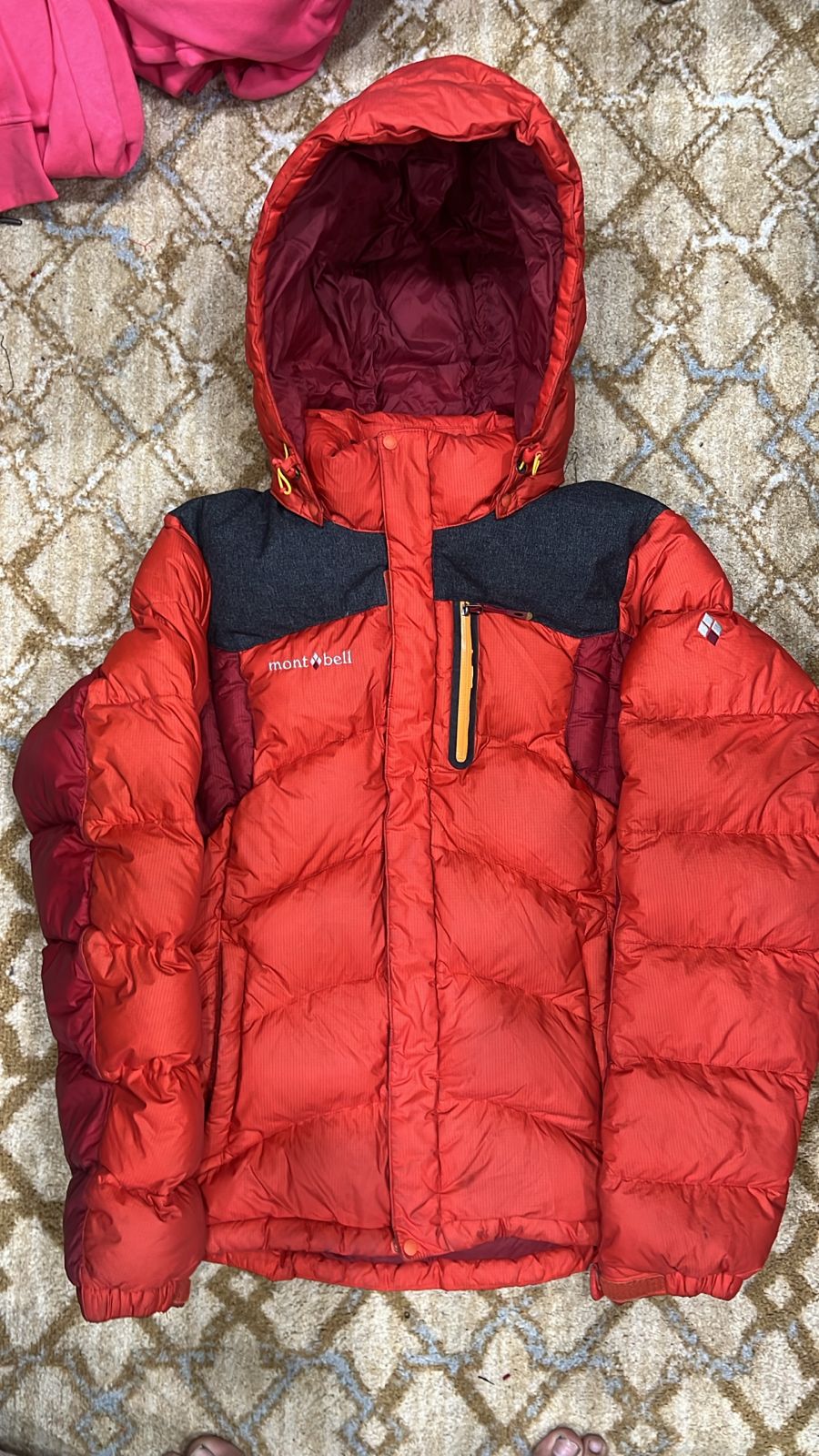 A descriptive alt text for this image