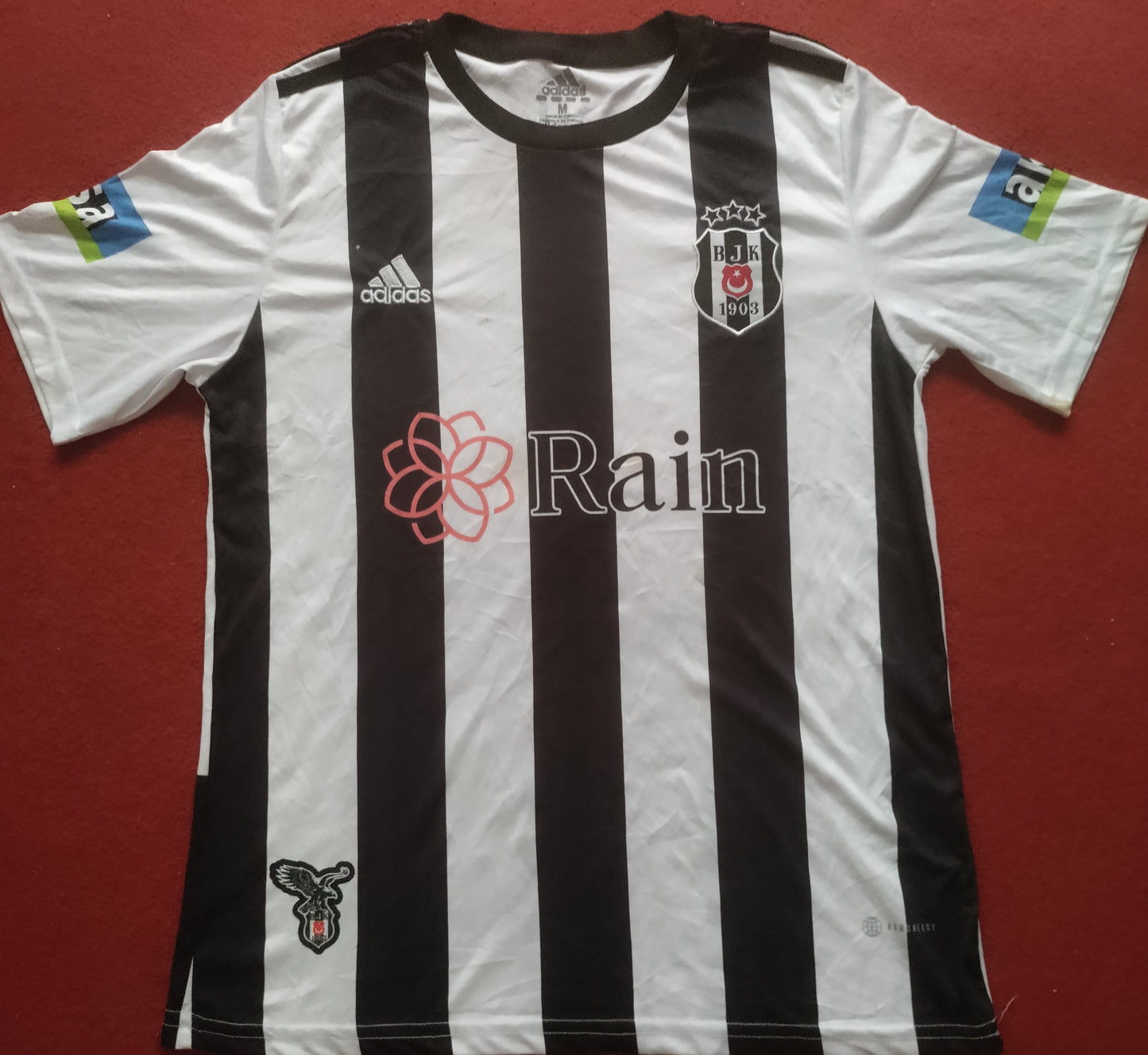 A descriptive alt text for this image