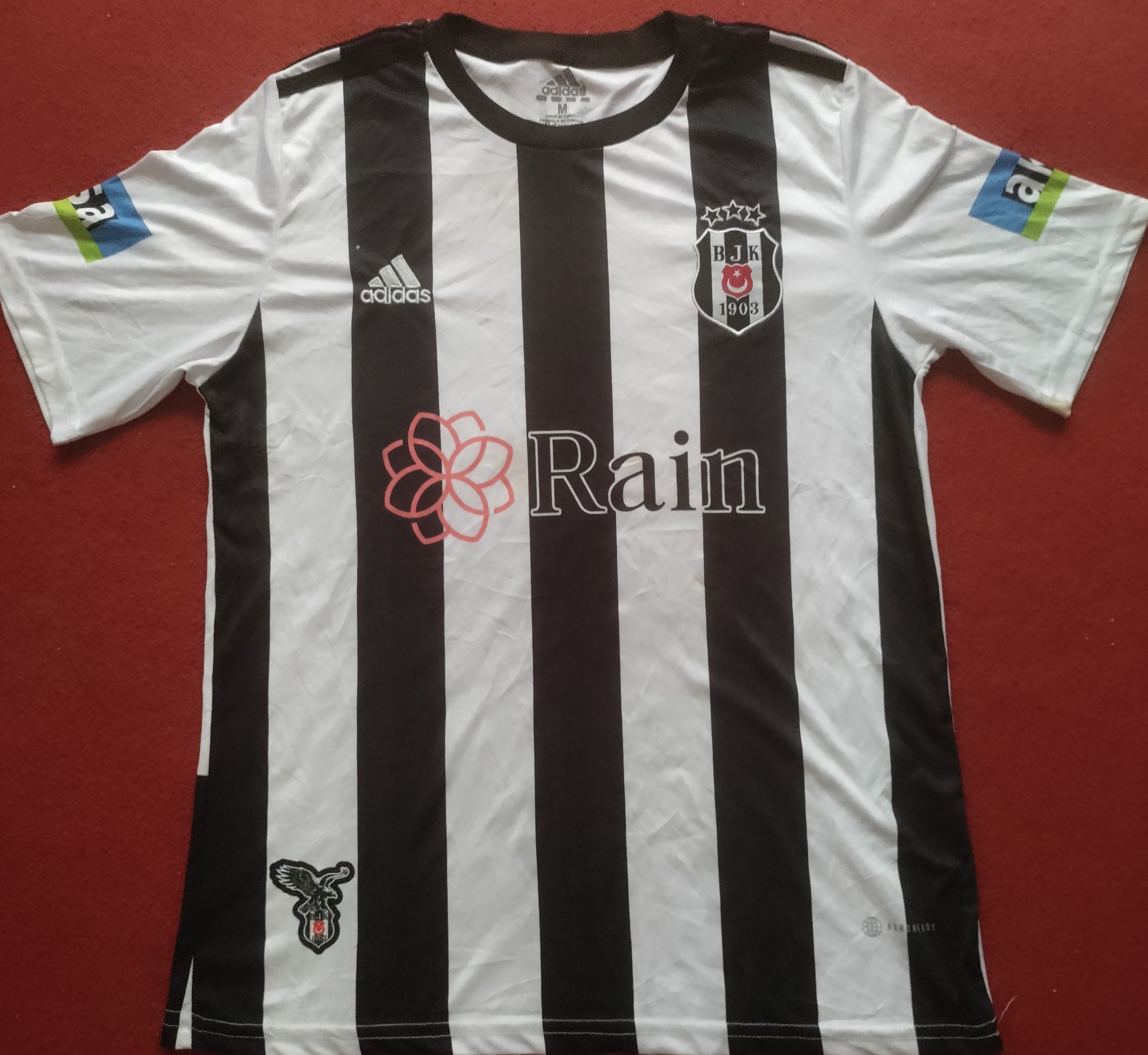 A descriptive alt text for this image