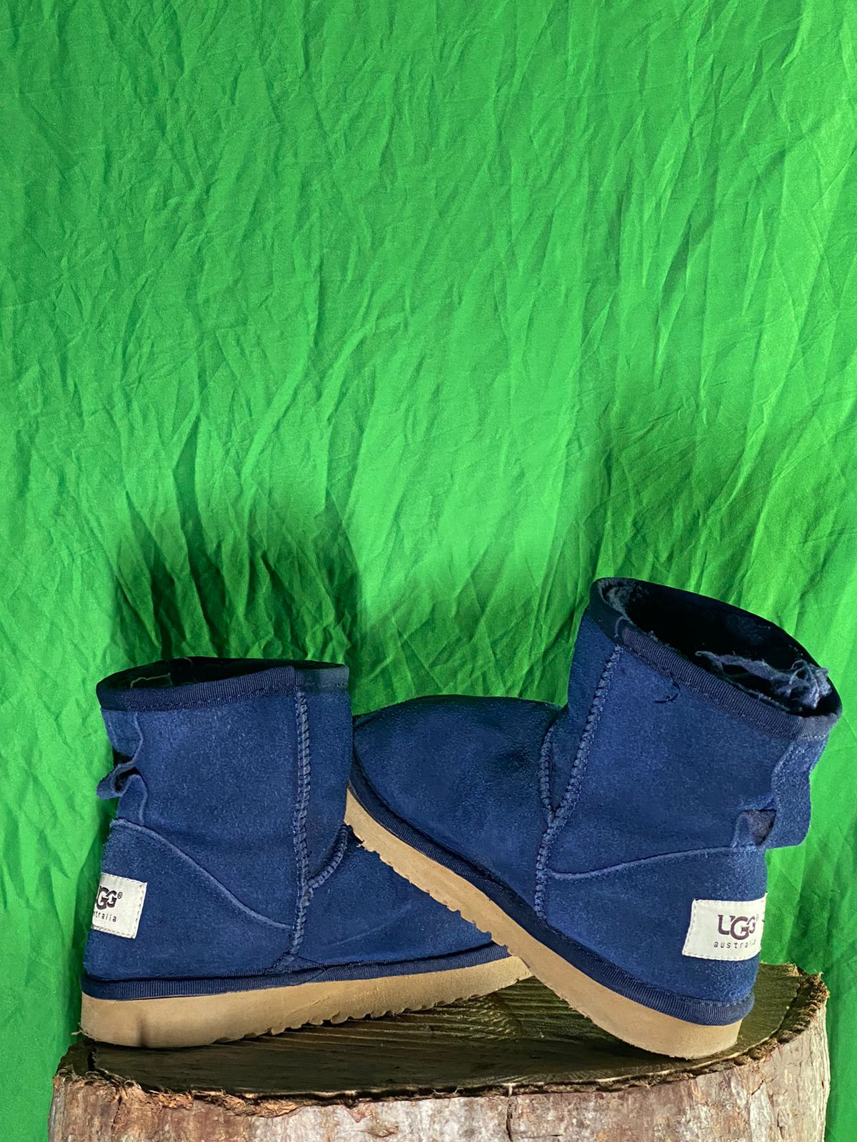 A descriptive alt text for this image