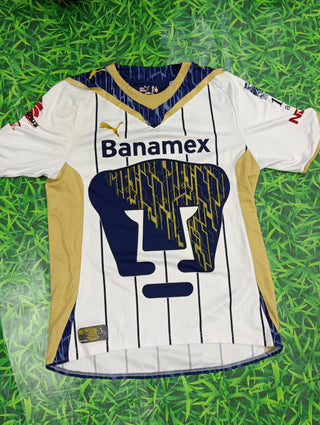 A descriptive alt text for this image