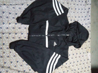 A descriptive alt text for this image