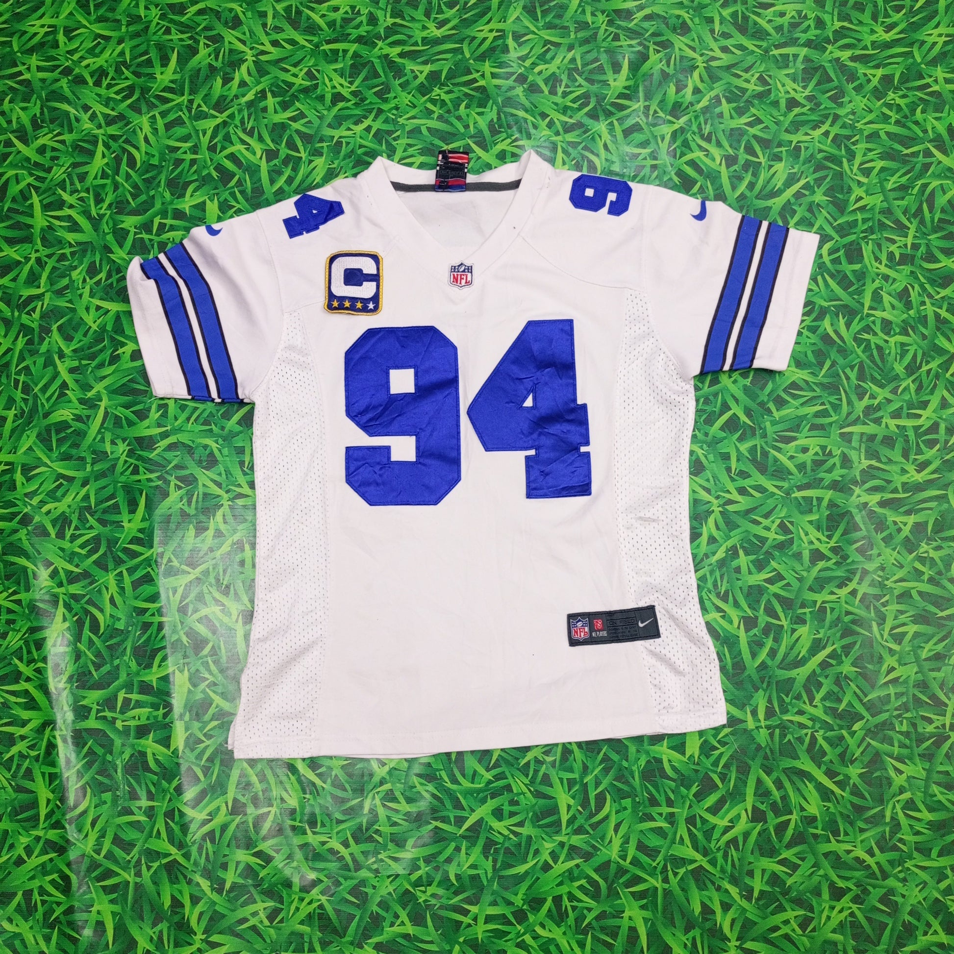 A descriptive alt text for this image