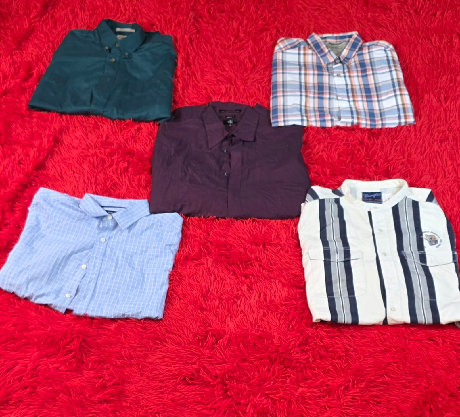 A descriptive alt text for this image