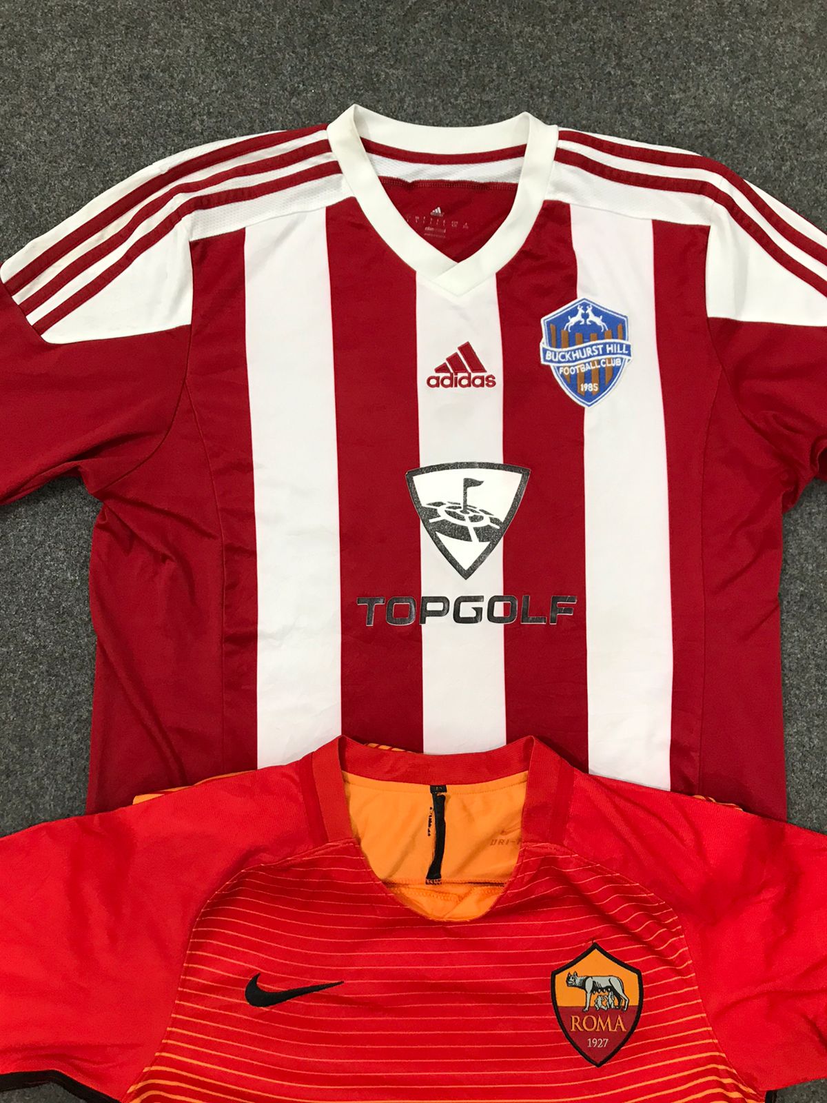 A descriptive alt text for this image