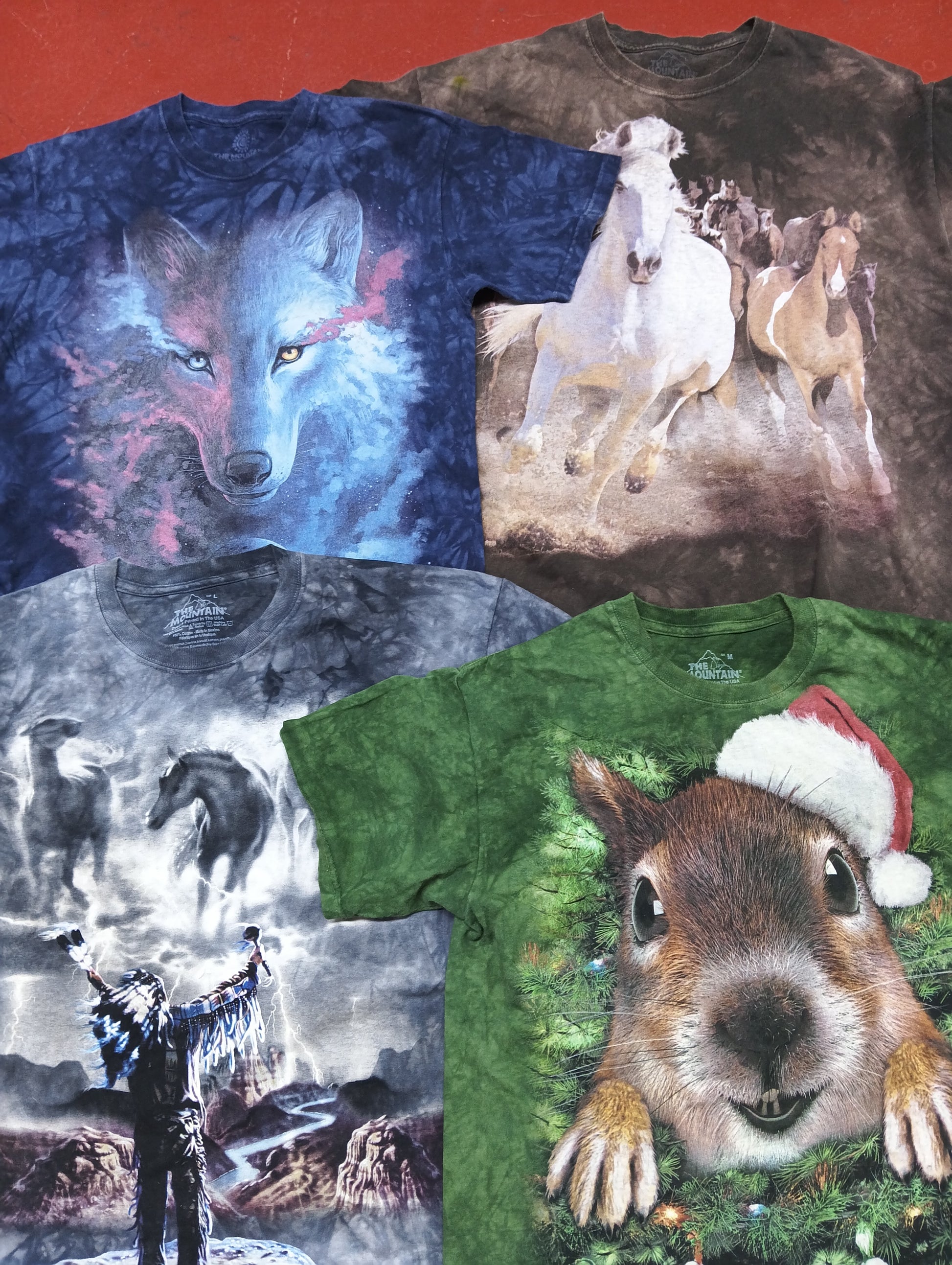 A descriptive alt text for this image