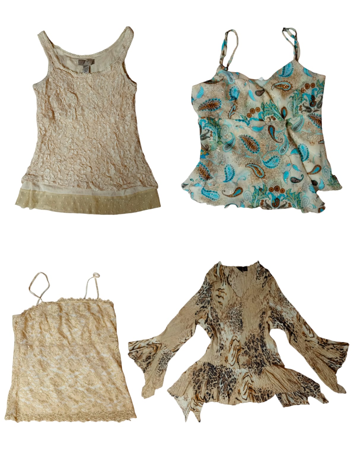 A descriptive alt text for this image