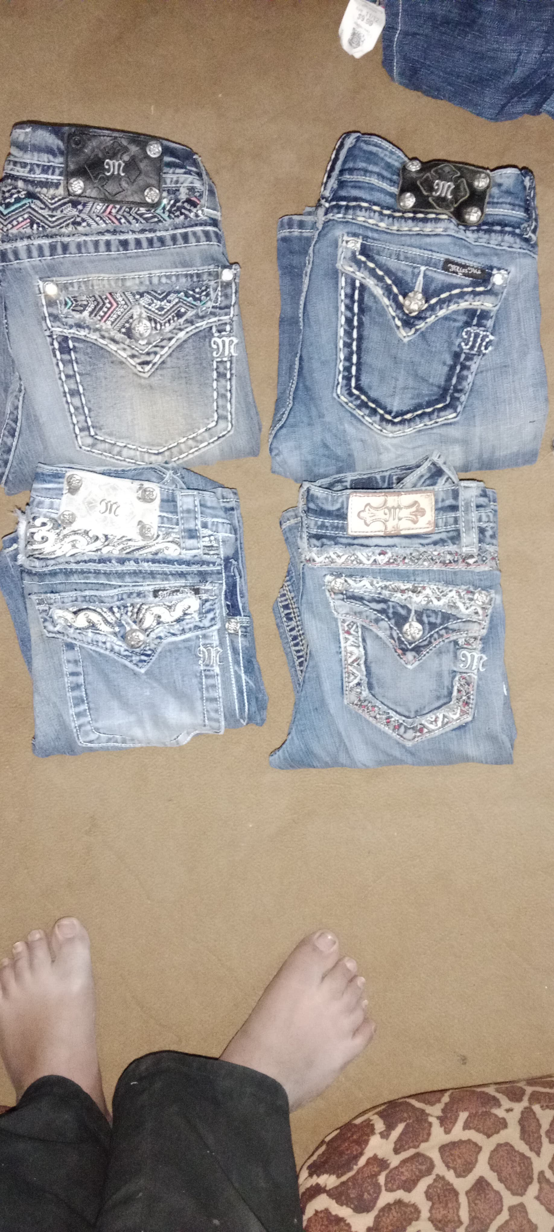 A descriptive alt text for this image