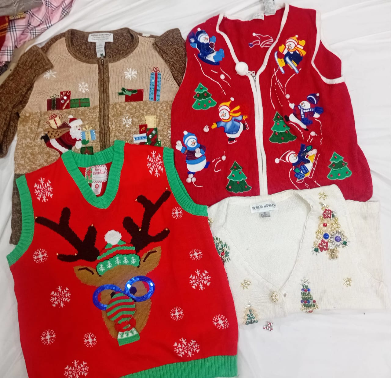 A descriptive alt text for this image