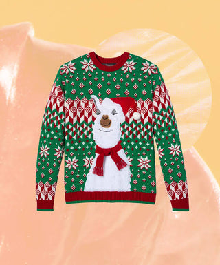 A descriptive alt text for this image