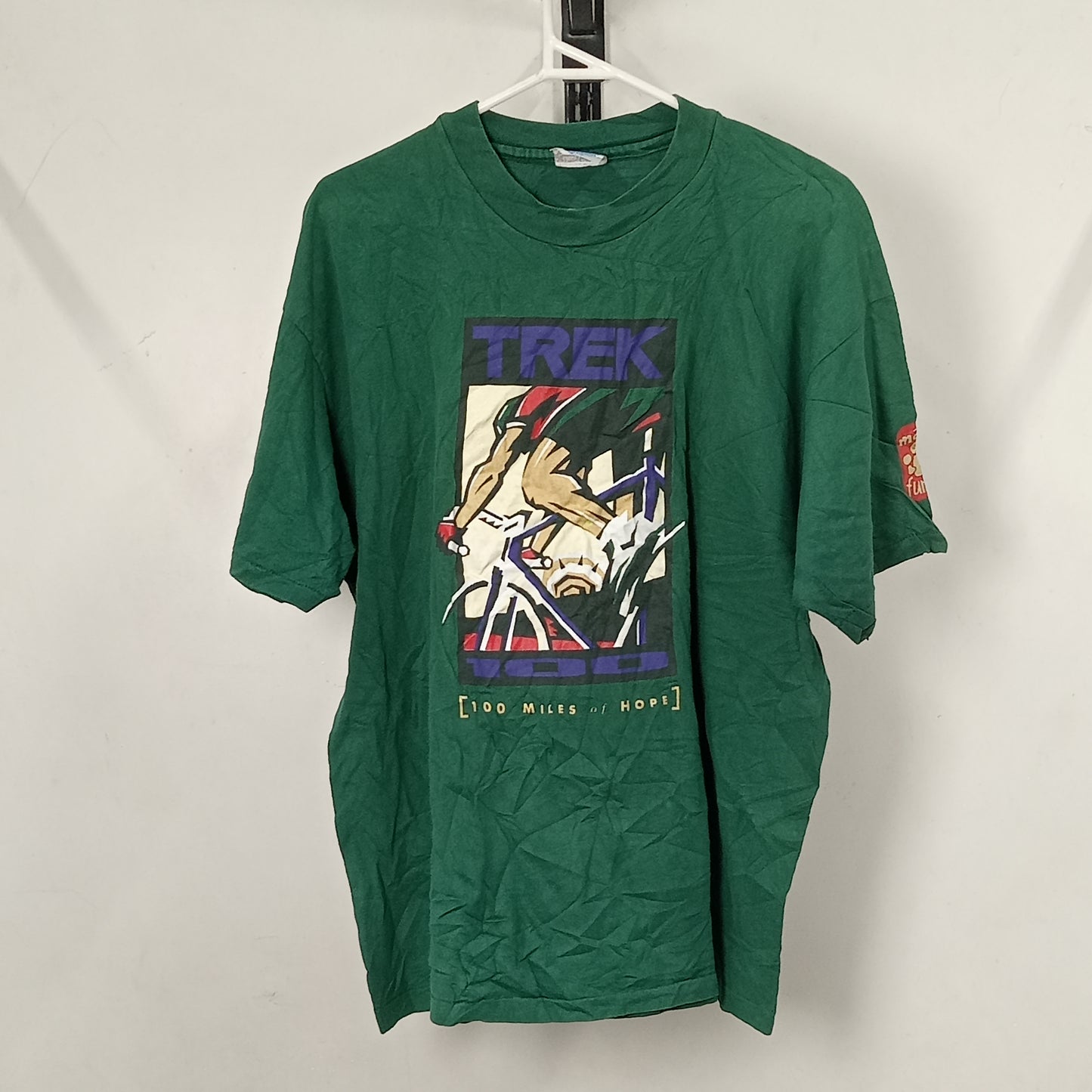 A descriptive alt text for this image