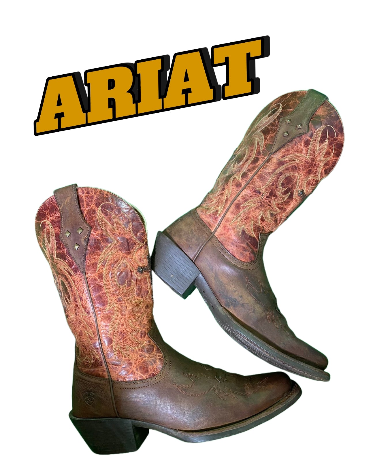 A descriptive alt text for this image