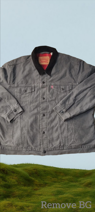 A descriptive alt text for this image