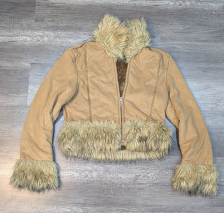 A descriptive alt text for this image