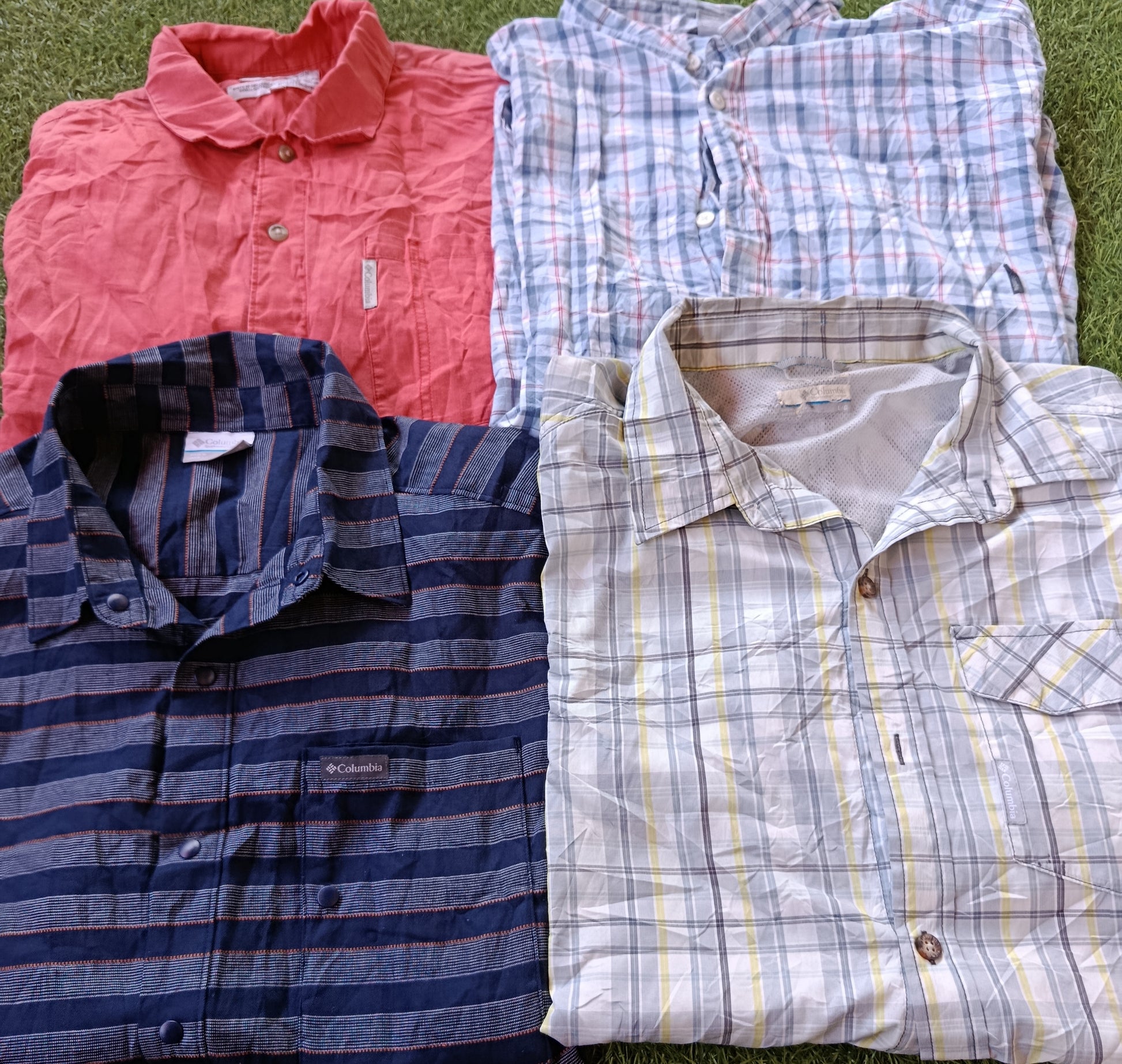 A descriptive alt text for this image