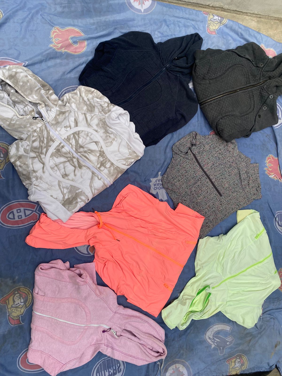 A descriptive alt text for this image