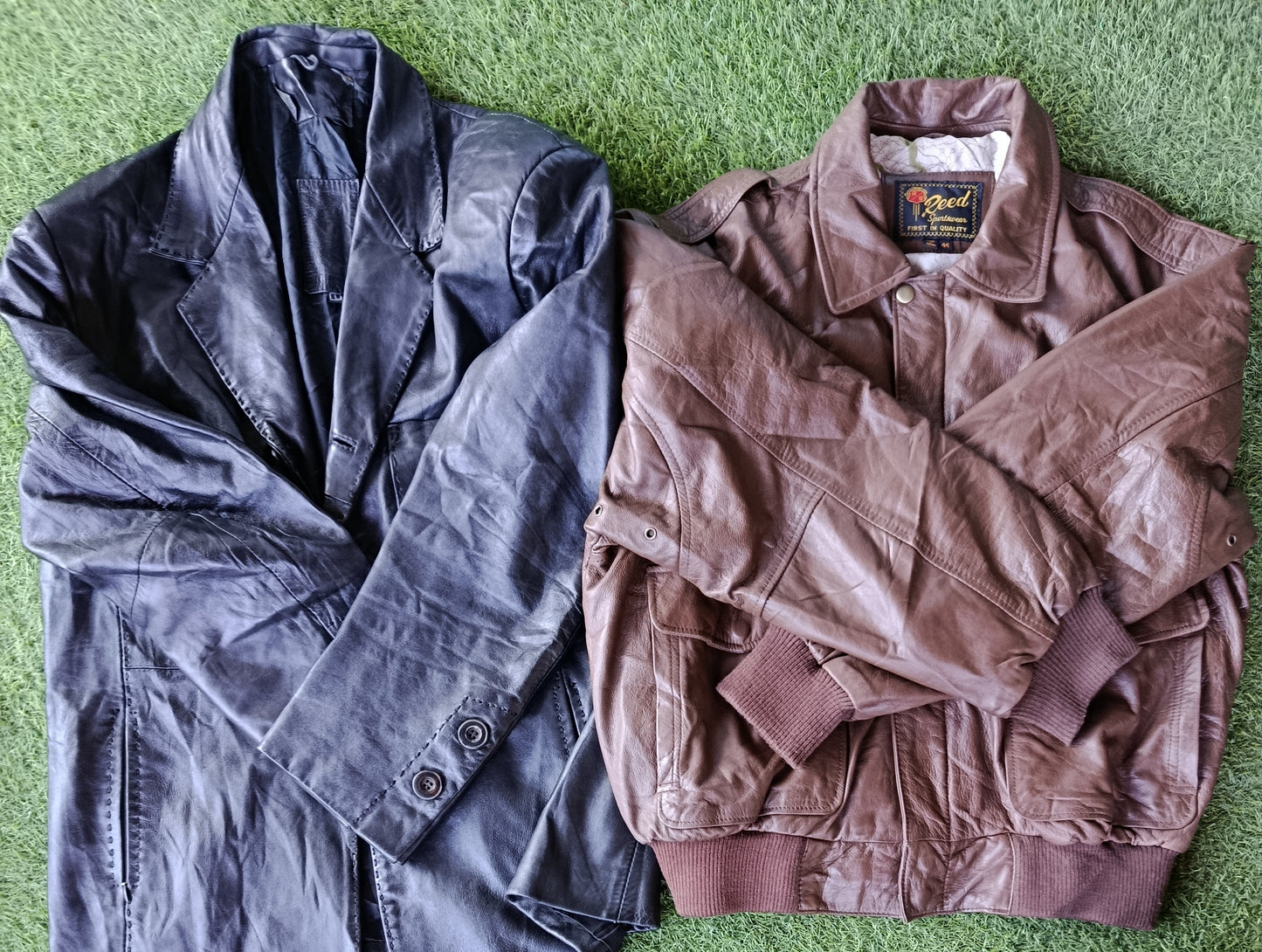 A descriptive alt text for this image