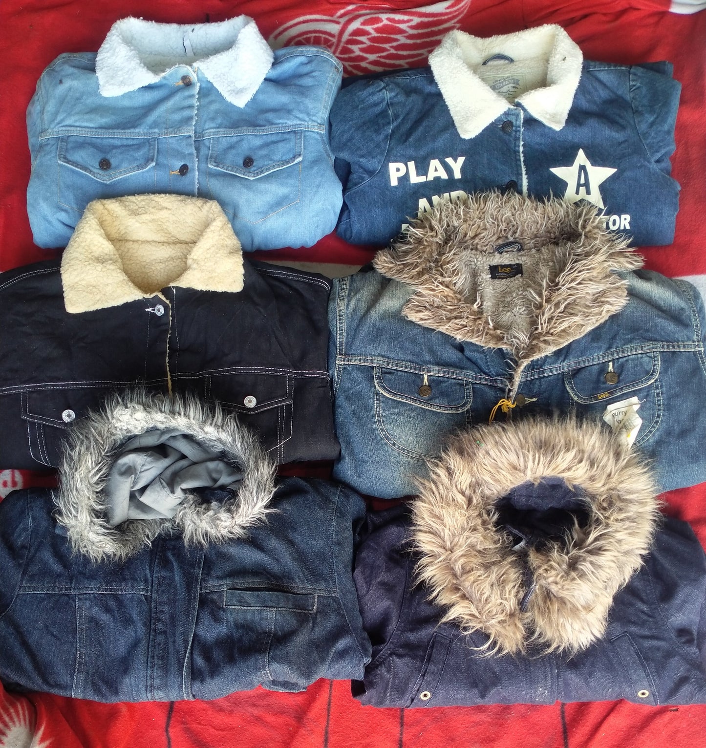 A descriptive alt text for this image