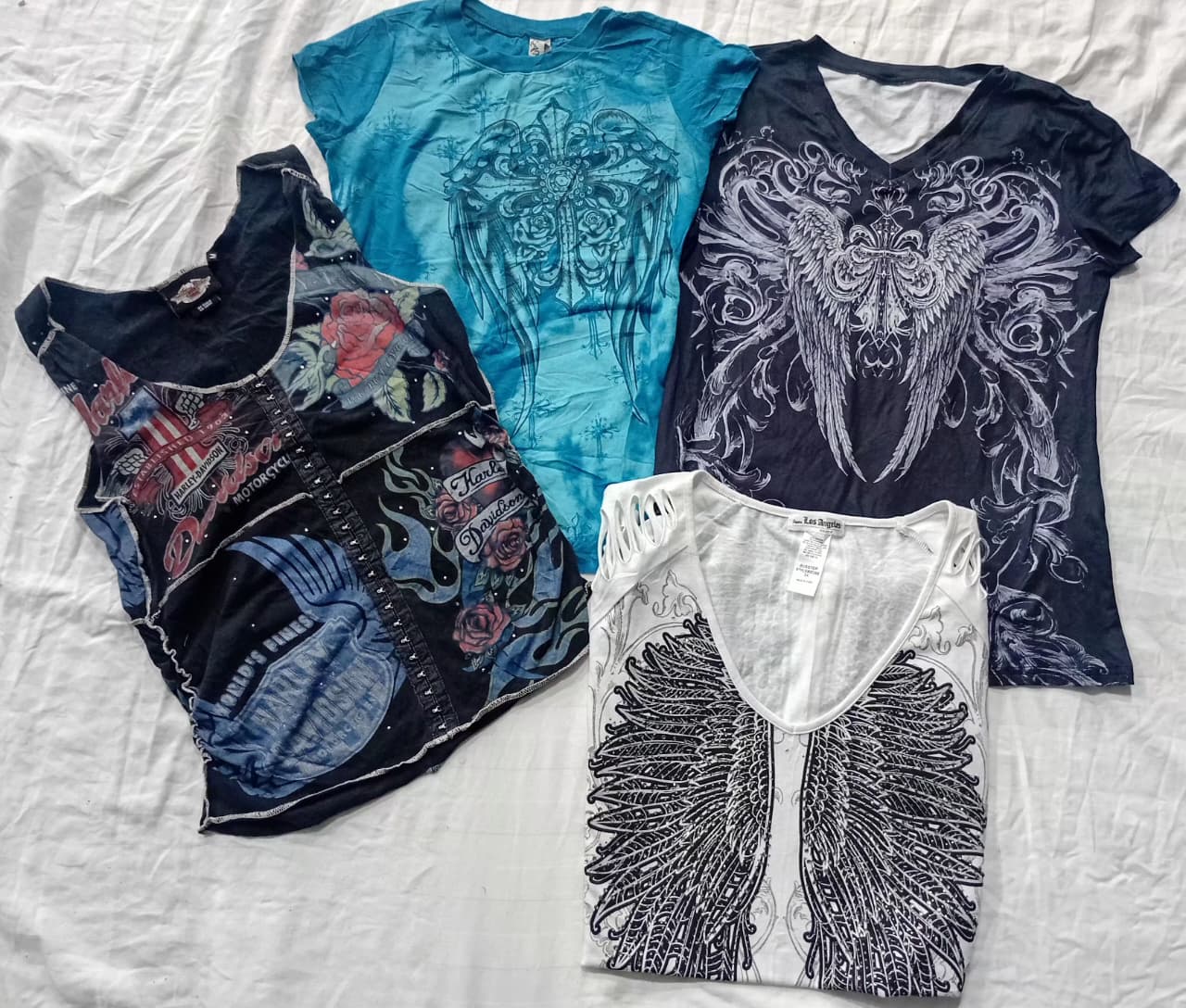 A descriptive alt text for this image