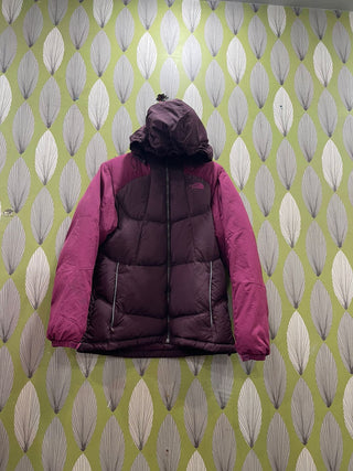 A descriptive alt text for this image