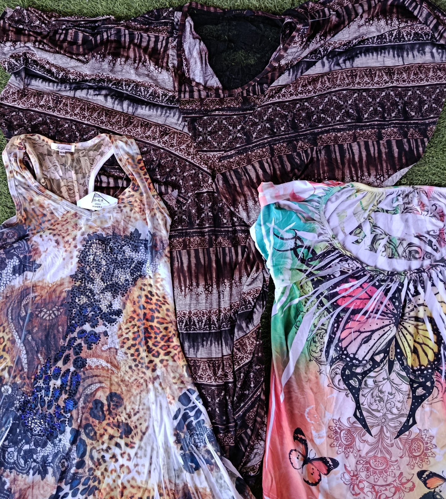 A descriptive alt text for this image