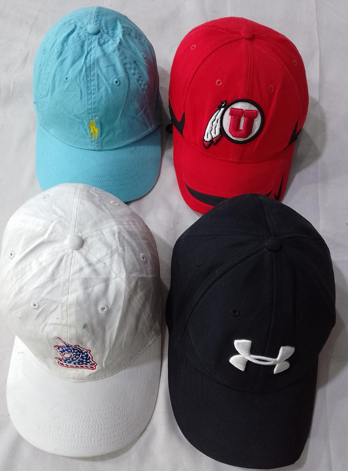 A descriptive alt text for this image