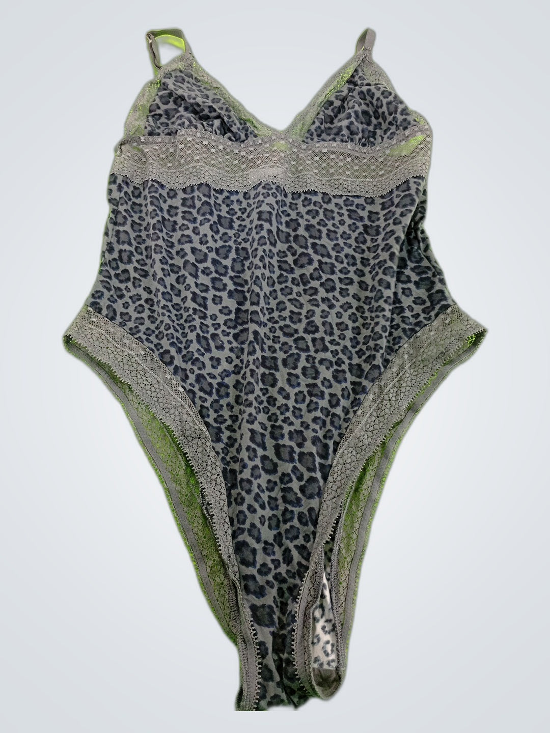 A descriptive alt text for this image