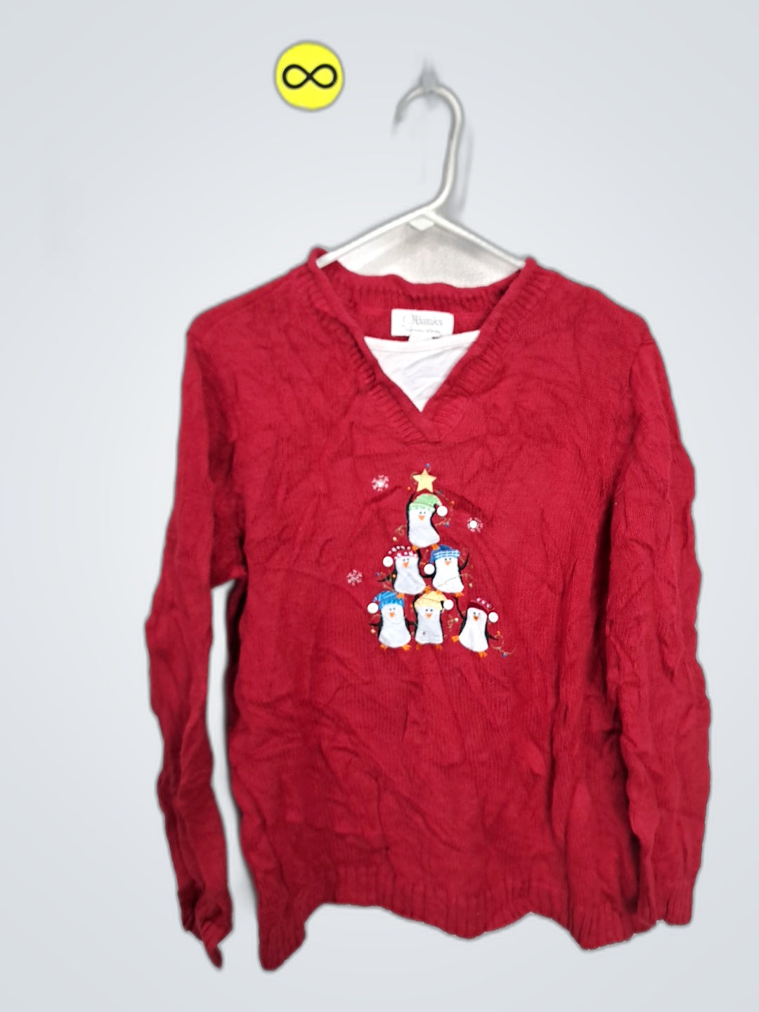 A descriptive alt text for this image