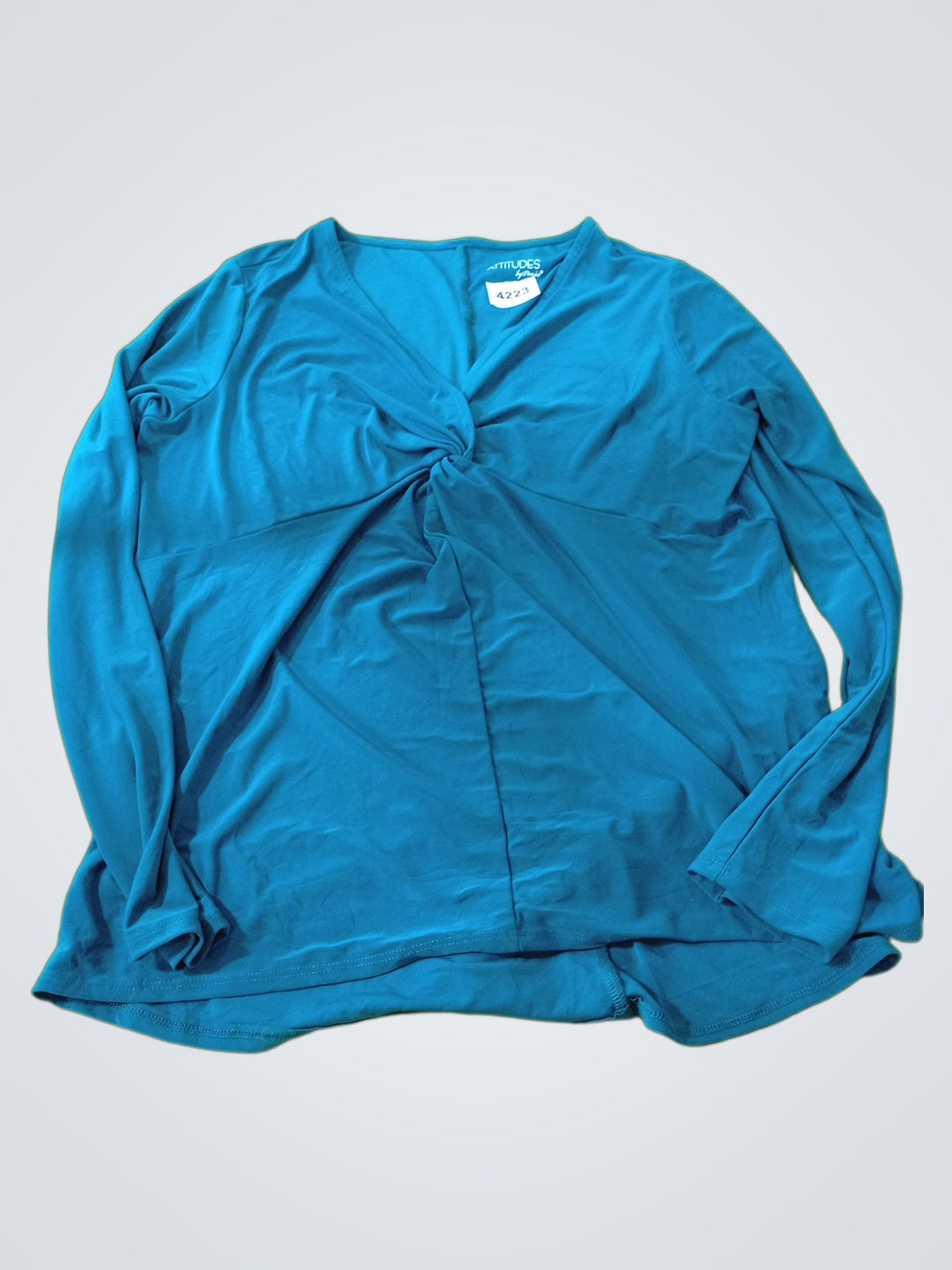 A descriptive alt text for this image
