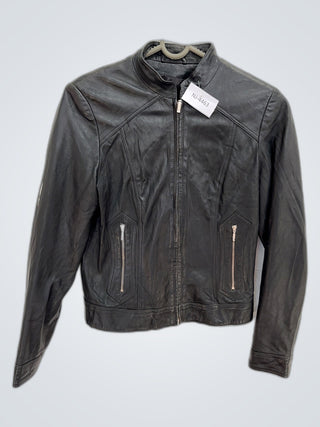 A descriptive alt text for this image