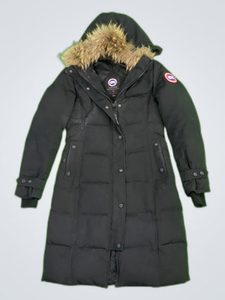 A descriptive alt text for this image