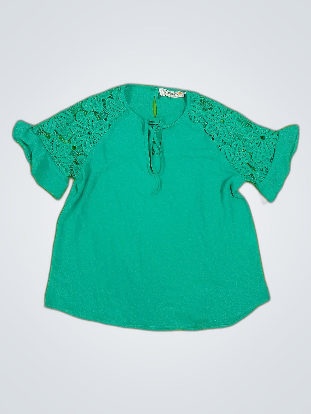 A descriptive alt text for this image