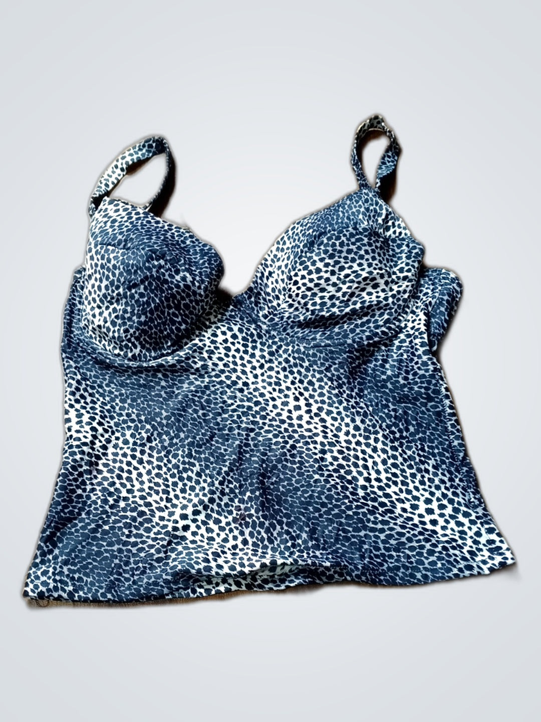 A descriptive alt text for this image