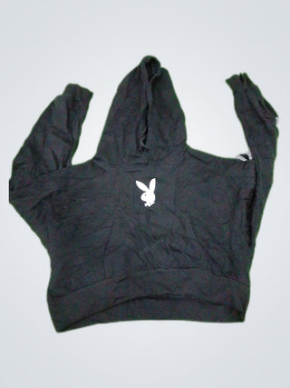 A descriptive alt text for this image