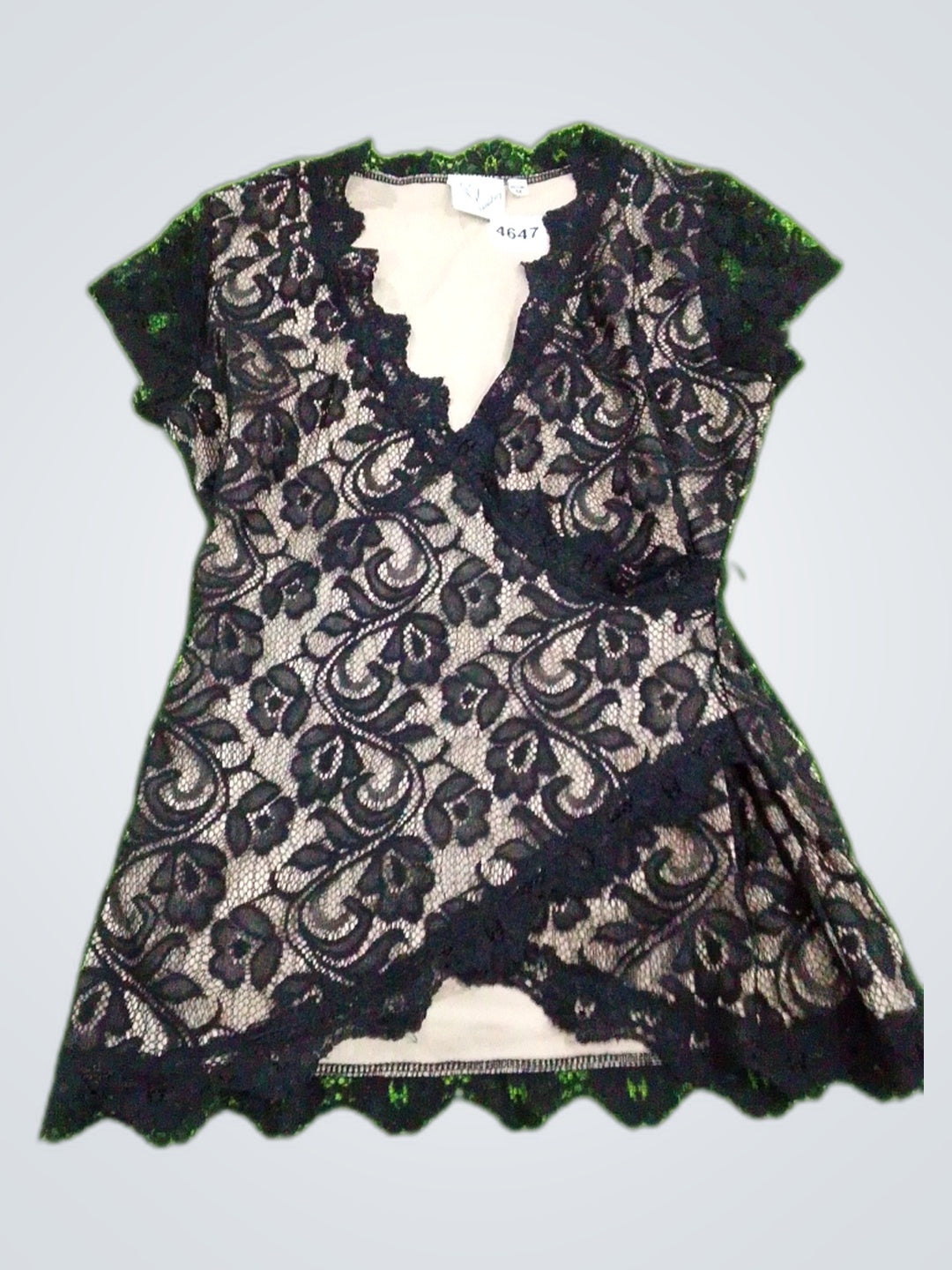 A descriptive alt text for this image