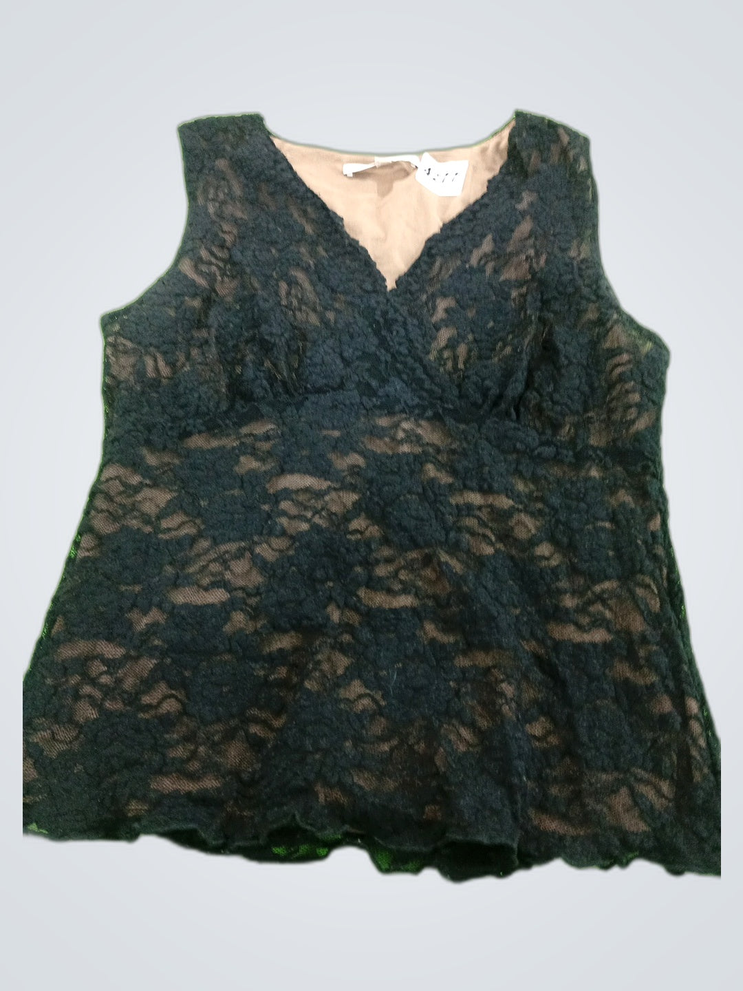 A descriptive alt text for this image