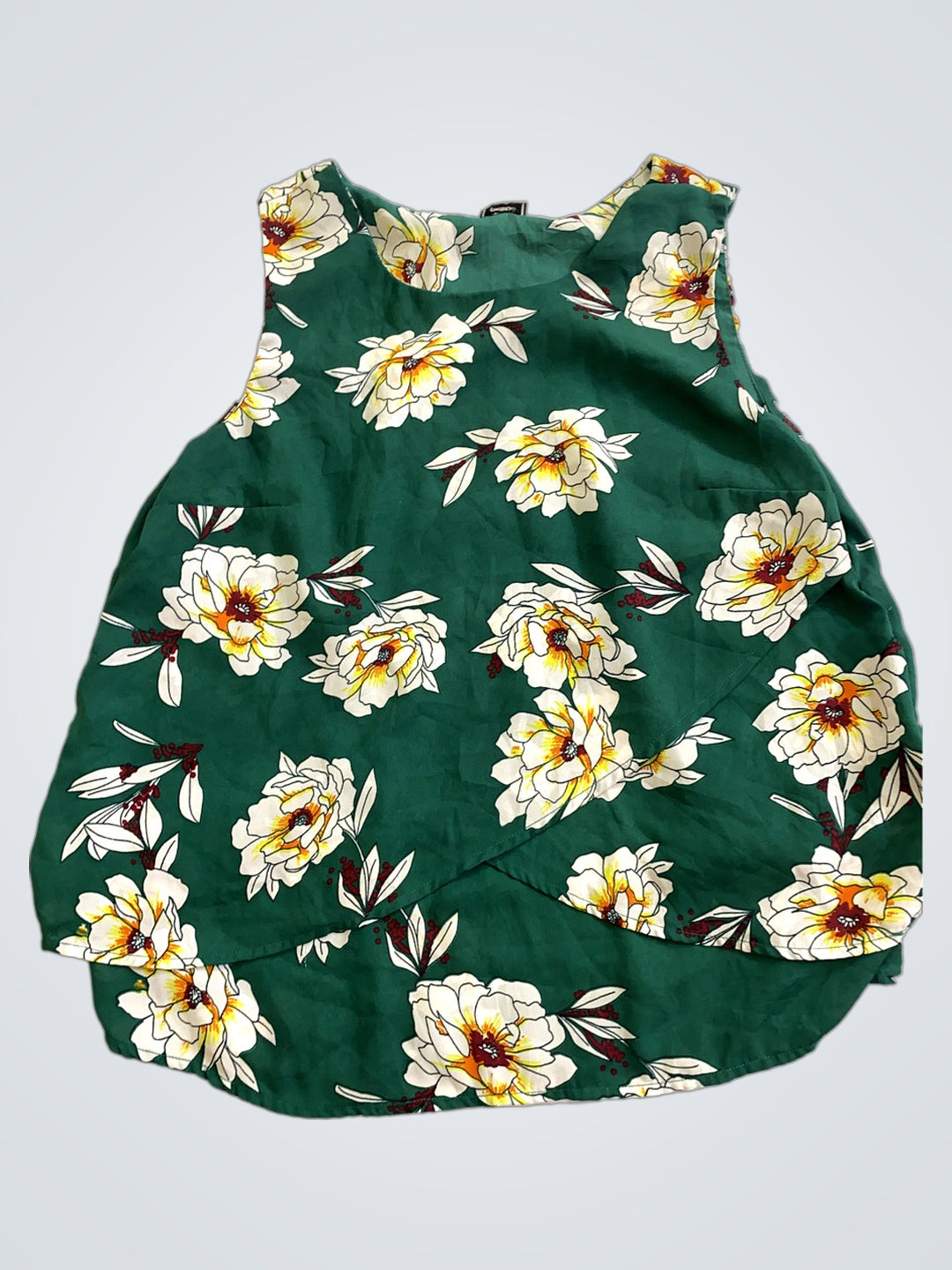 A descriptive alt text for this image